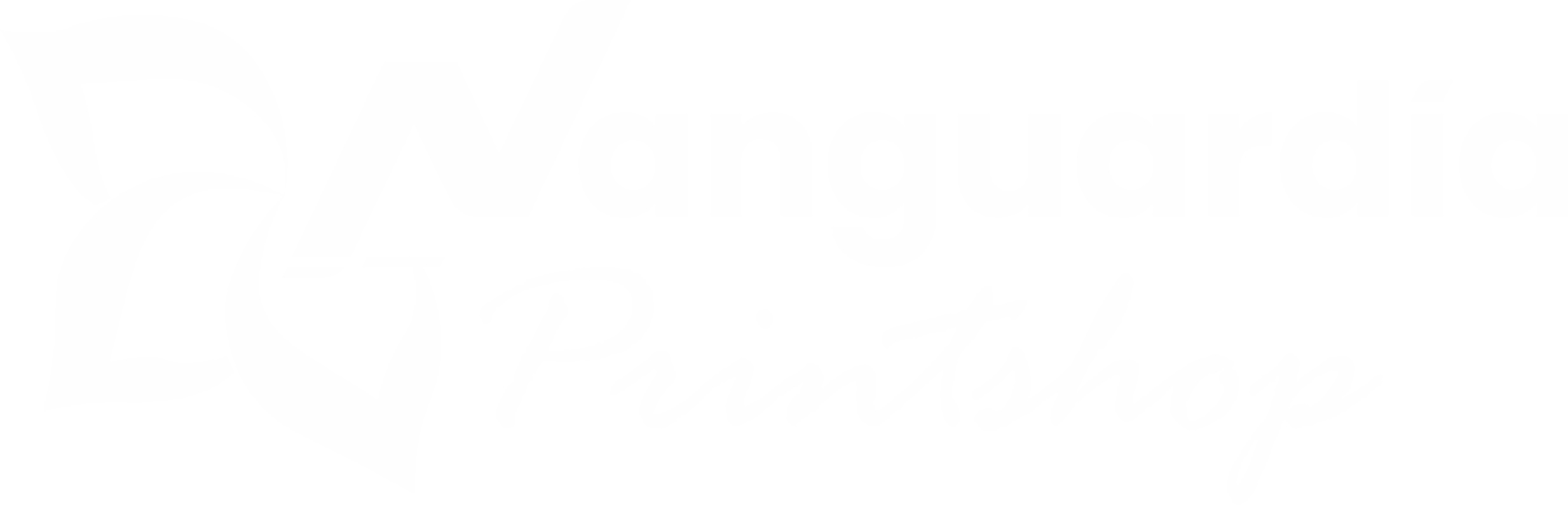 printshop.lavanguardiallc.com